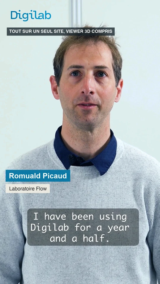 Romuald Picaud, Laboratoire Flow